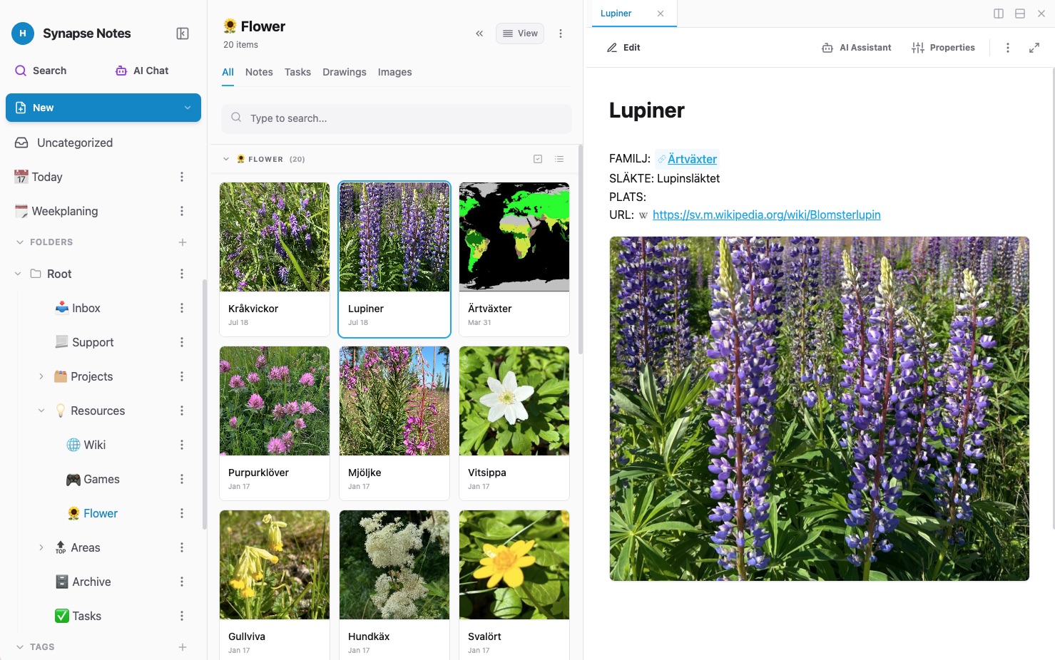 Synapse Notes UI